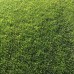 Натуральный готовый газон «Стандарт» в рулонах
